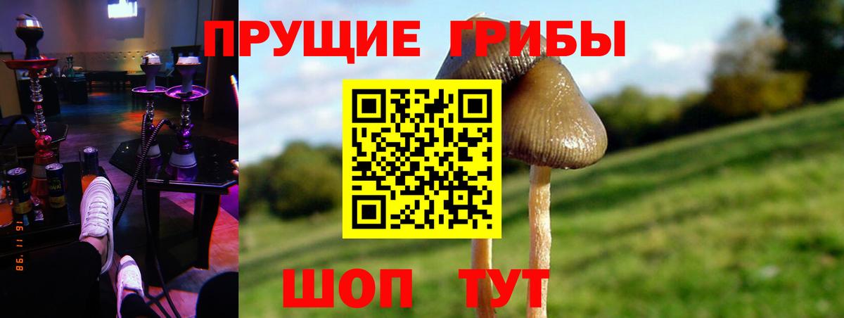 Ставрополь  Псилоцибиновые грибы ЛСД  Вход с VPN 